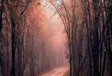 塞维利亚连胜，稳坐联赛榜首