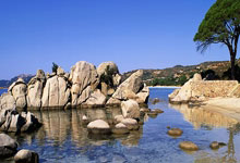 梅西指导新俱乐部连胜，欧洲豪门看好其夺冠